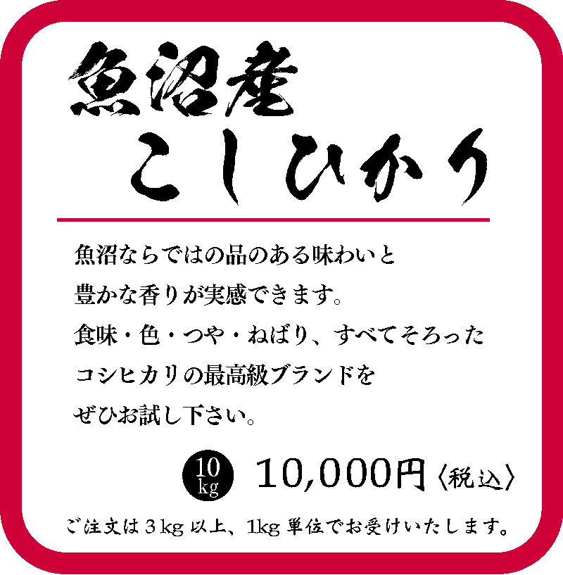 魚沼産こしひかり